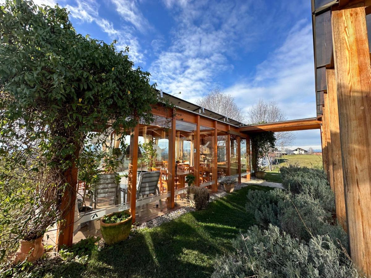 B&B Villa Angelina 로가스카슬라티나 외부 사진